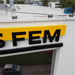 SVS FEM | SVS FEM