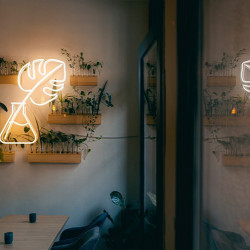 neon logo | kafé Džungle Prostějov