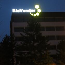 Světelná reklama - Černá