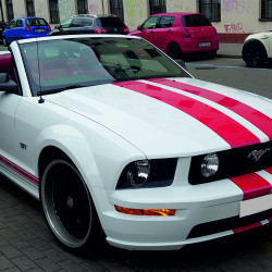 Mustang | Polep aut - celoplošný polep