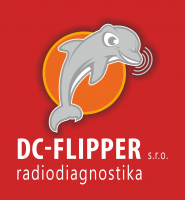 DC Flipper s.r.o. - Logo