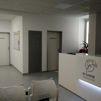 Polep skel fólií - pískované sklo Flipper