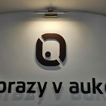 Reference: OBRAZY V AUKCI 