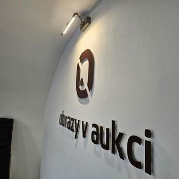 Reference: OBRAZY V AUKCI 